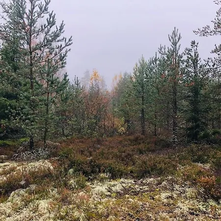 Villa Tilava Ja Rauhallinen Huvila Mukavuuksilla *
